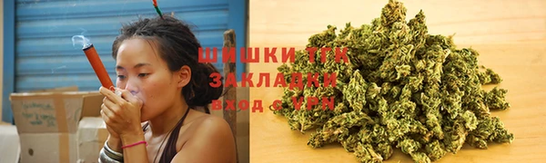 ГАЛЛЮЦИНОГЕННЫЕ ГРИБЫ Краснослободск