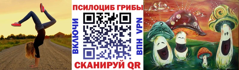 Псилоцибиновые грибы мухоморы  Купить где  Балабаново 
